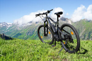 mountain bike electric